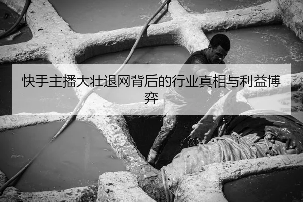 快手主播大壮退网背后的行业真相与利益博弈